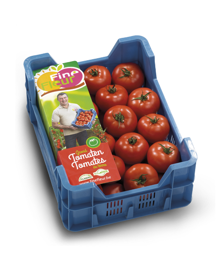 kist tomaat